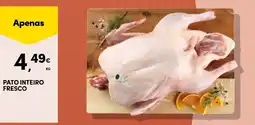 Continente Pato inteiro fresco promoção