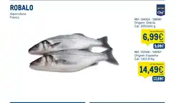Makro Robalo aquicultura fresco promoção
