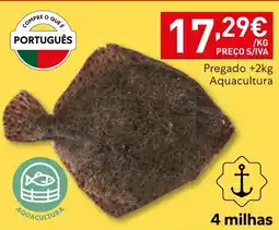 Recheio Pregado aquacultura promoção