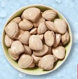 Recheio Amêijoa Branca promoção