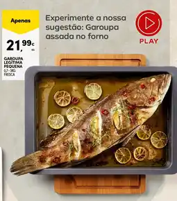 Continente Garoupa legítima pequena promoção
