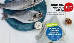 Pingo Doce Aquacultura - dourada grande promoção