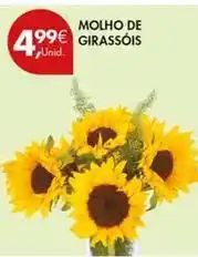 Pingo Doce Molho de girassório promoção