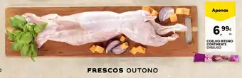 Coelho inteiro continente (embalado)