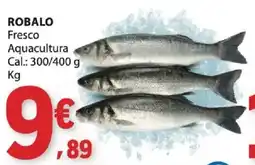 E.Leclerc Robalo promoção