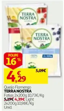 Auchan queijo flamengo terra nostra promoção