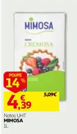 Auchan Natas UHT Mimosa promoção
