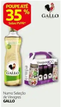 Auchan Numa Seleção de Vinagres Gallo promoção