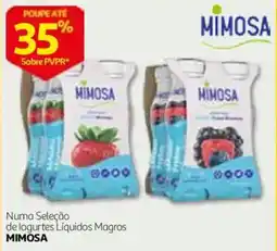 Auchan logurtes líquidos magros mimosa promoção