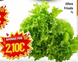 Belita Alface Frisada promoção