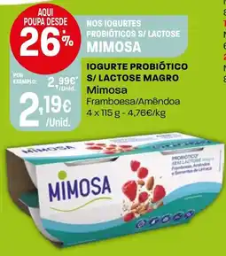 Intermarché Iogurte probiótico s/ lactose magro mimosa promoção