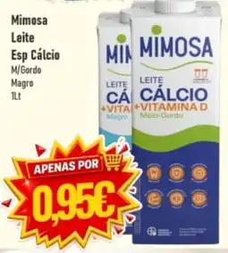 Belita Mimosa leite esp cálculo m/gordo promoção