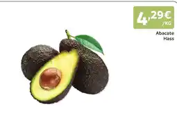 Amanhecer Abacate Hass promoção