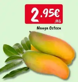 Ponto Fresco Manga Osteen promoção