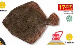 Recheio Pregado Aquacultura promoção