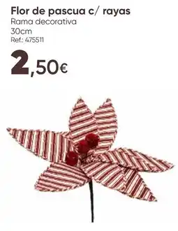 Hôma Flor de pascua c/ rayas promoção