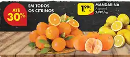 Pingo Doce mandarina promoção
