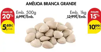 Amêijoa branca grande