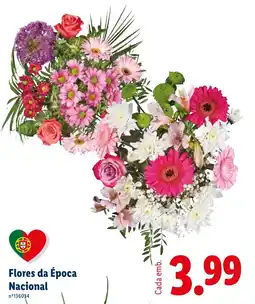 Lidl Flores da Época Nacional promoção