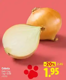 Lidl Cebola promoção