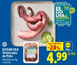 Lidl Ocean Sea Tentáculos de Pota promoção