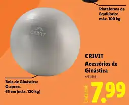 Lidl bola de ginástica crivit promoção