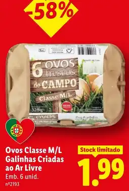 Lidl Ovos frescos do campo promoção