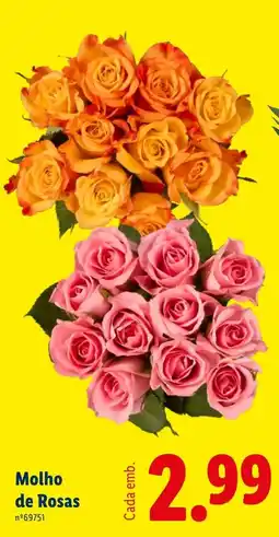 Lidl Molho de Rosas promoção