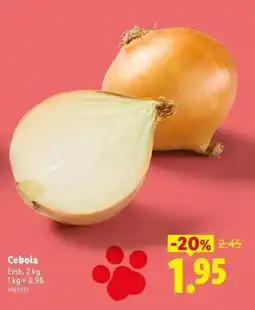 Lidl Cebola promoção