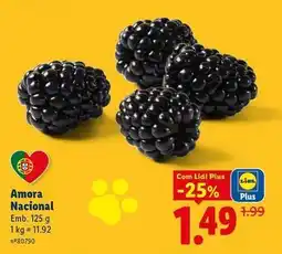 Lidl Nacional - amora promoção