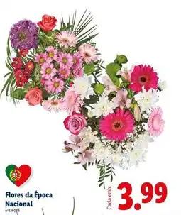 Lidl Nacional - flores da época promoção