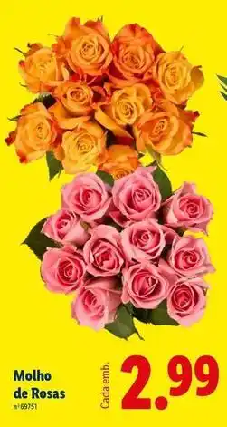 Lidl Molho de rosas promoção