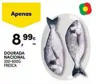 Continente Bom dia Nacional - dourada promoção