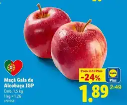 Lidl Maçã Gala de Alcobaça IGP promoção