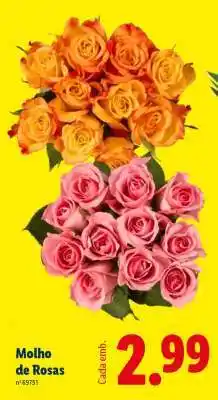 Lidl Molho de Rosas promoção