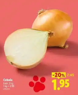 Lidl Cebola promoção