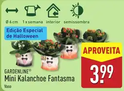ALDI Gardenline mini kalanchoe fantasma vaso promoção
