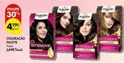 Pingo Doce Palette - coloração promoção