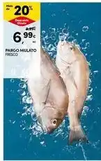 Continente Bom dia Pargo mulato promoção