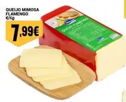 Neomáquina Queijo mimosa flamengo promoção