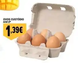 Neomáquina ovos custódio promoção