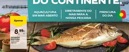 Continente Dourada nacional promoção
