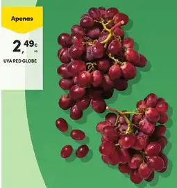 Continente Uva red globe promoção