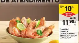 Continente Gambão grande da argentina selvagem congelado promoção
