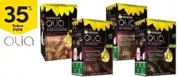 Continente Garnier olia promoção