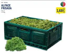 Makro Alface frisada promoção