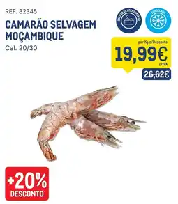 Makro Camarão selvagem moçambique promoção