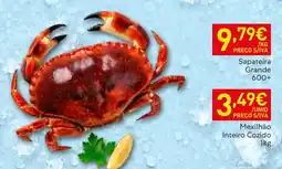 Recheio Sapateira Grande promoção
