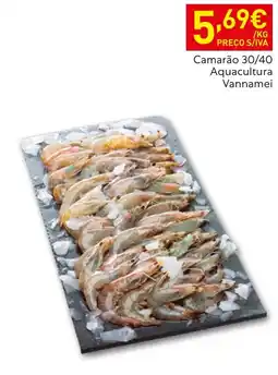 Recheio Camarão 30/40 Aquacultura Vannamei promoção