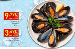 Recheio Sapateira Grande promoção